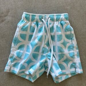 Kenny Flowers Aqua and White Swim Shorts